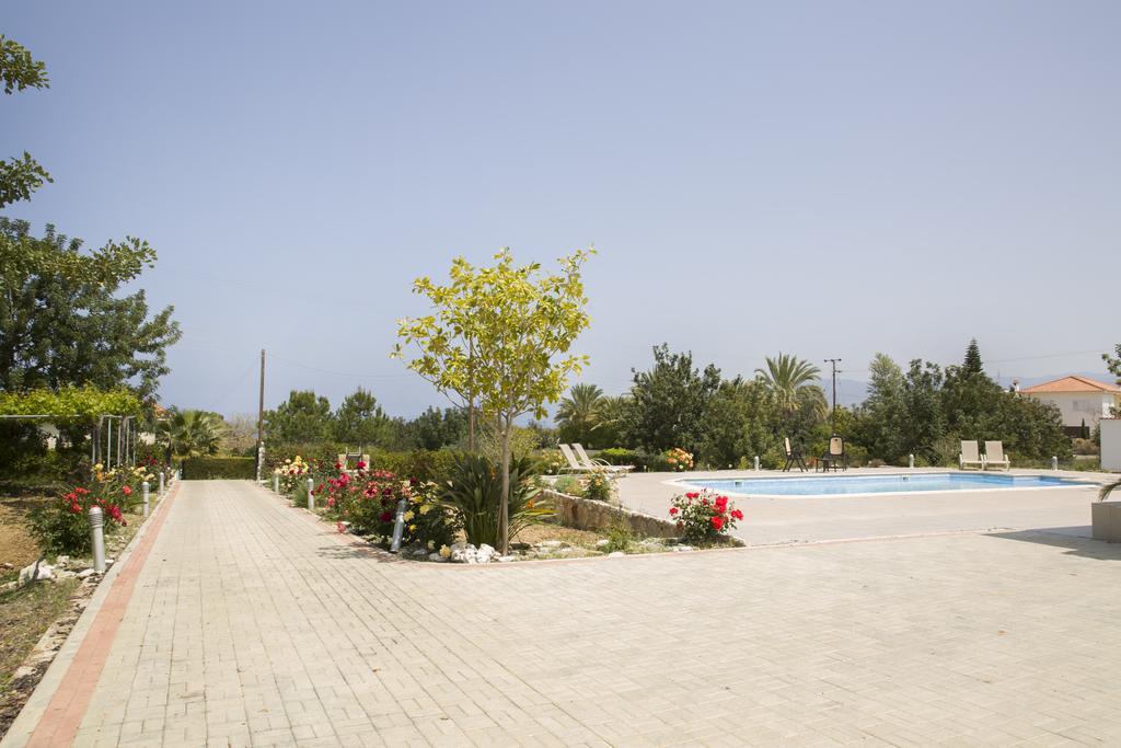 Eliofos Luxury Villa Polis Zewnętrze zdjęcie