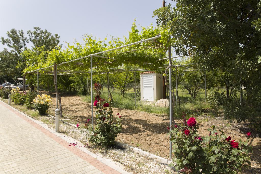 Eliofos Luxury Villa Polis Zewnętrze zdjęcie
