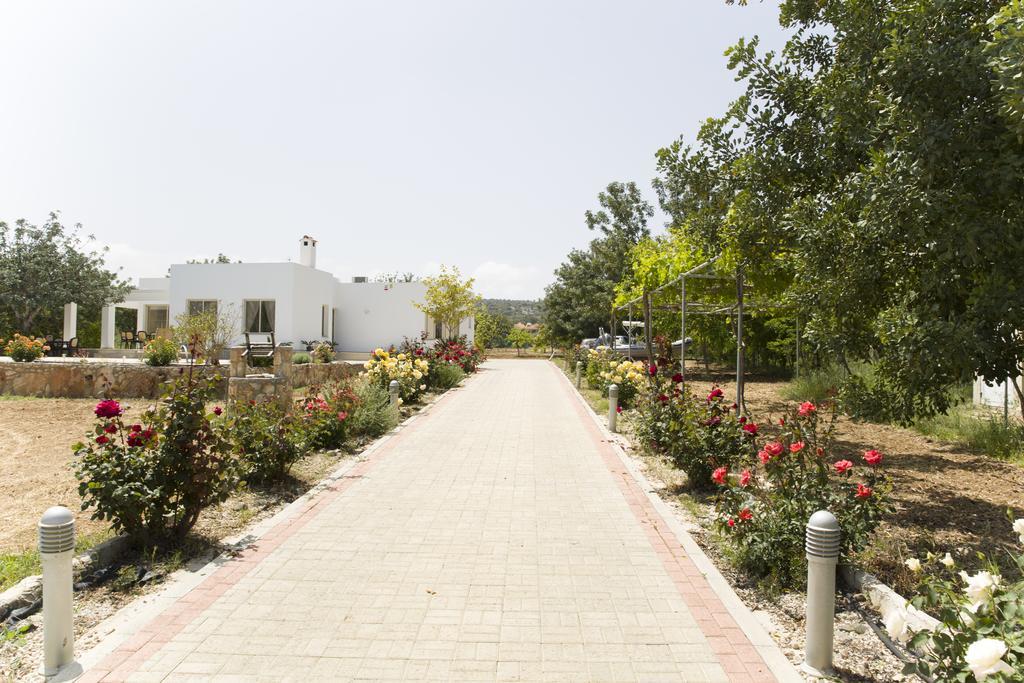Eliofos Luxury Villa Polis Zewnętrze zdjęcie